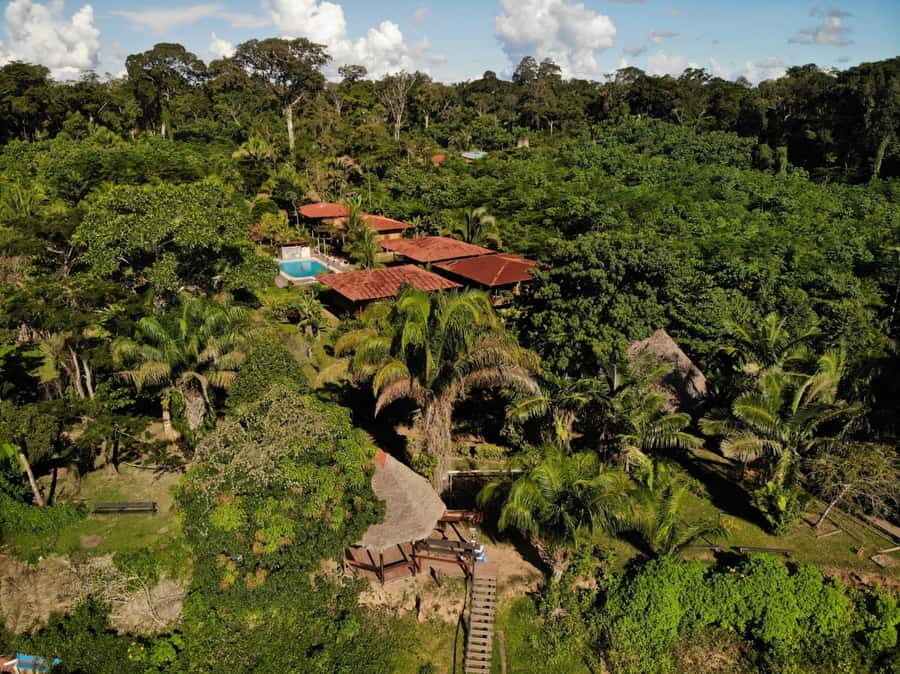 Sandoval lake 3 Days / 2 Nights - What this Amazon trip really offers