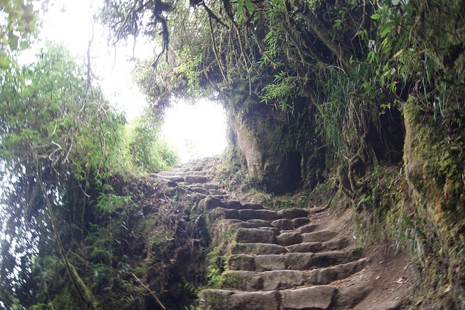 Short Inca trail to MachuPicchu || 2days - 1nigth || - Should you book it?