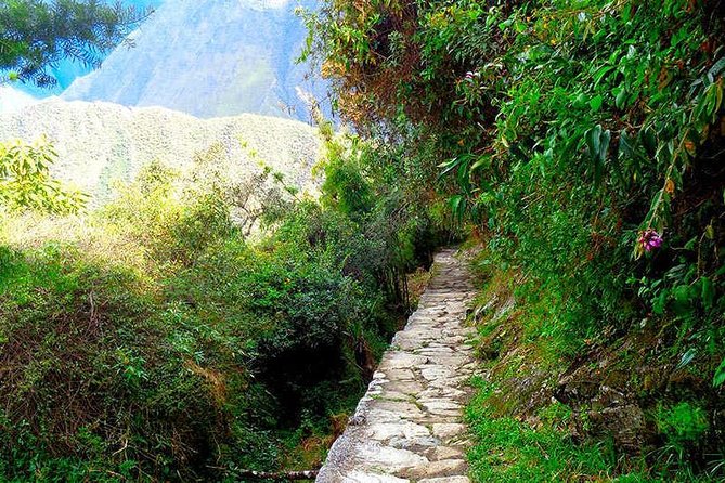 Small Group: 4-Day Inca Trail Trek to Machu Picchu - The guide and crew shape the whole trek