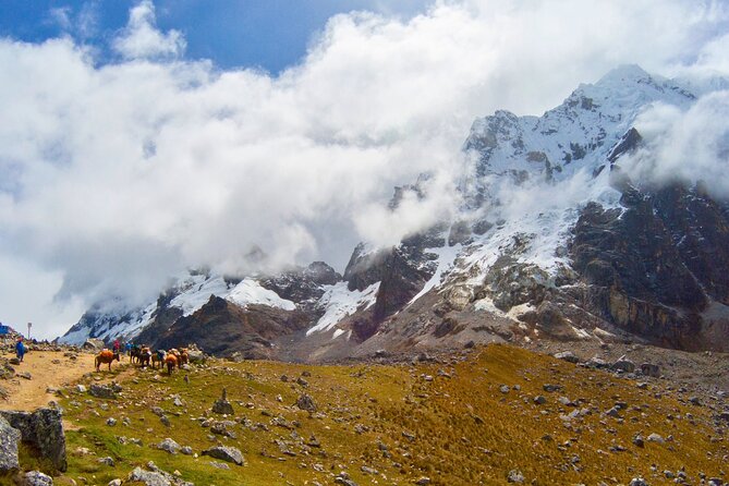 Small Group 5 Days Salkantay and Machu Picchu by Llactapata Tour - Day five: Machu Picchu before the crowds build