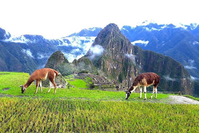 Small-Group Day Tour to Machu Picchu - The Ollantaytambo to Aguas Calientes train ride