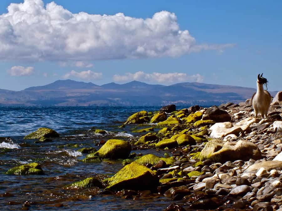 Sun and Moon Tour - Moon Island and its sacred remains