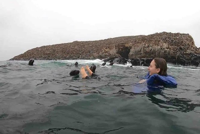 Swimming with Sea Lions in Lima - The harbor cruise and Callao’s islands