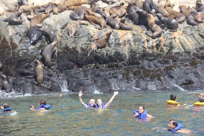 Swimming with Sea Lions in Lima - Who will enjoy this experience most