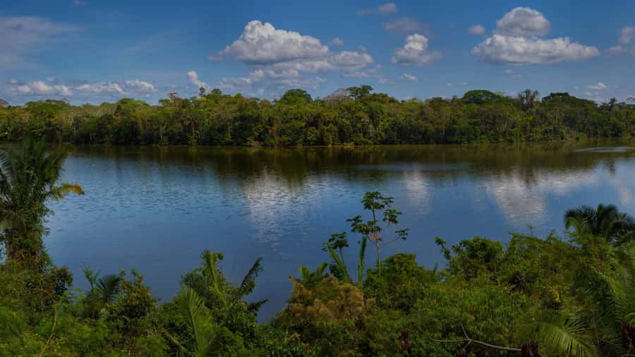 Tambopata: Lake Sandoval Canoeing with Lunch - Returning by boat to Puerto Maldonado