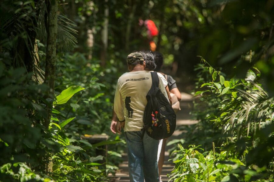 Tambopata Macaw Clay Lick 5 days/4 nights - What the $540 price really covers