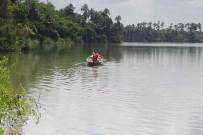 Multi-Day Amazon Rainforest Tour with Local Guide
