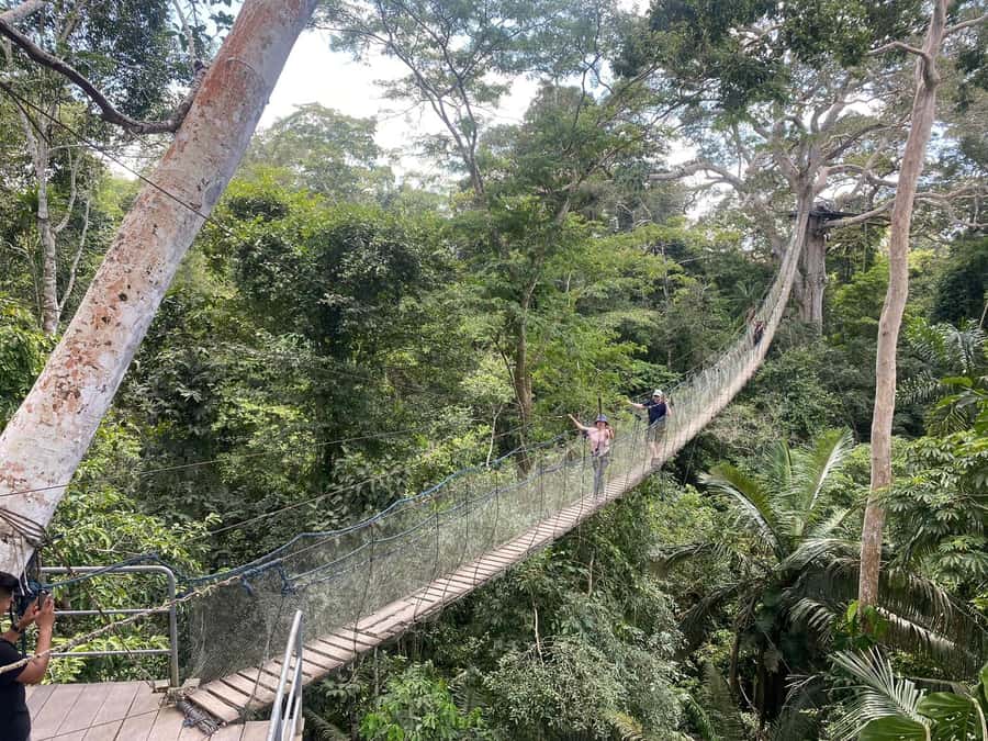Tambopata: Multi-Day Amazon Rainforest Tour with Local Guide - What the $387 price really covers