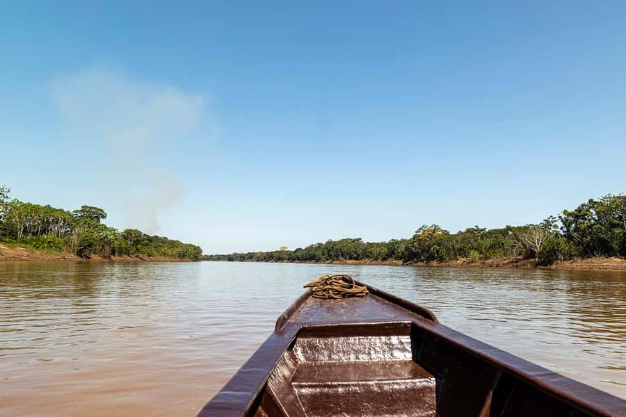 Tambopata: Multi-Day Amazon Rainforest Tour with Local Guide - Who will enjoy this four-day Amazon trip