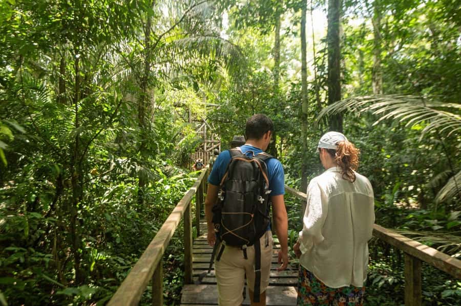 Tambopata National Reserve Tour 3 Days - Day 2: Sandoval Lake by trail and rowboat
