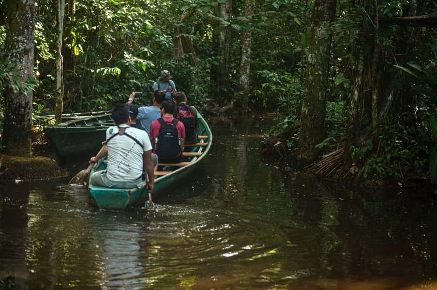 Tambopata National Reserve Tour 3 Days - Day 3: Clay lick, native family, and river fishing