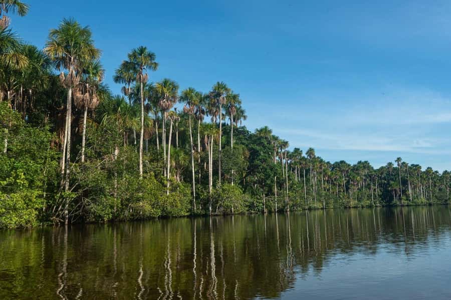 Tambopata National Reserve Tour 3 Days - Who will enjoy this trip most