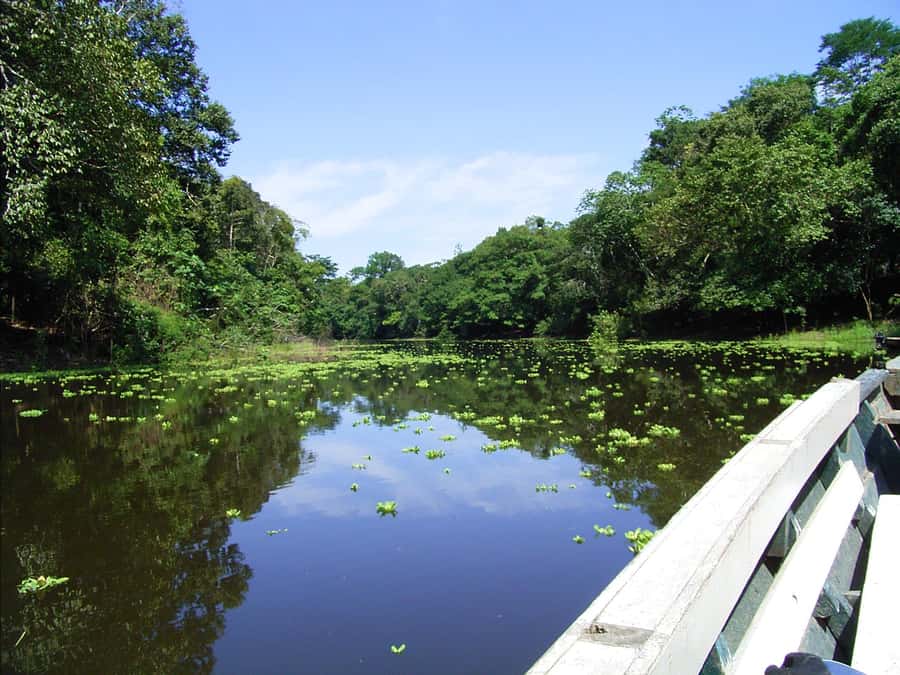 Tambopata Peruvian Amazon Jungle for Three Days/Two Nights - What to pack for comfort