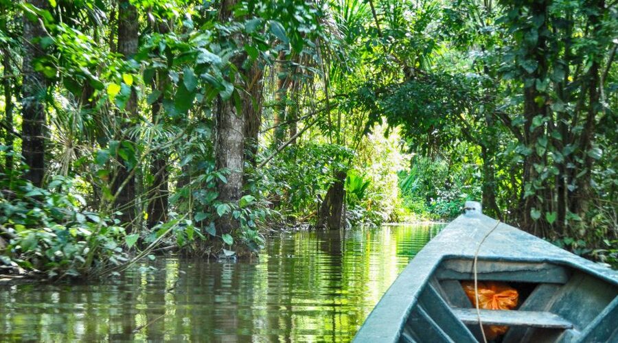 Tambopata Peruvian Amazon Jungle for Three Days/Two Nights - The clay lick on your final morning