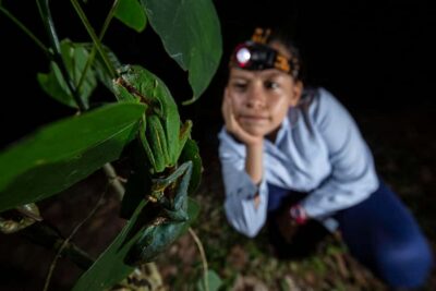 Tambopata Rainforest Night Walk & River Exploration