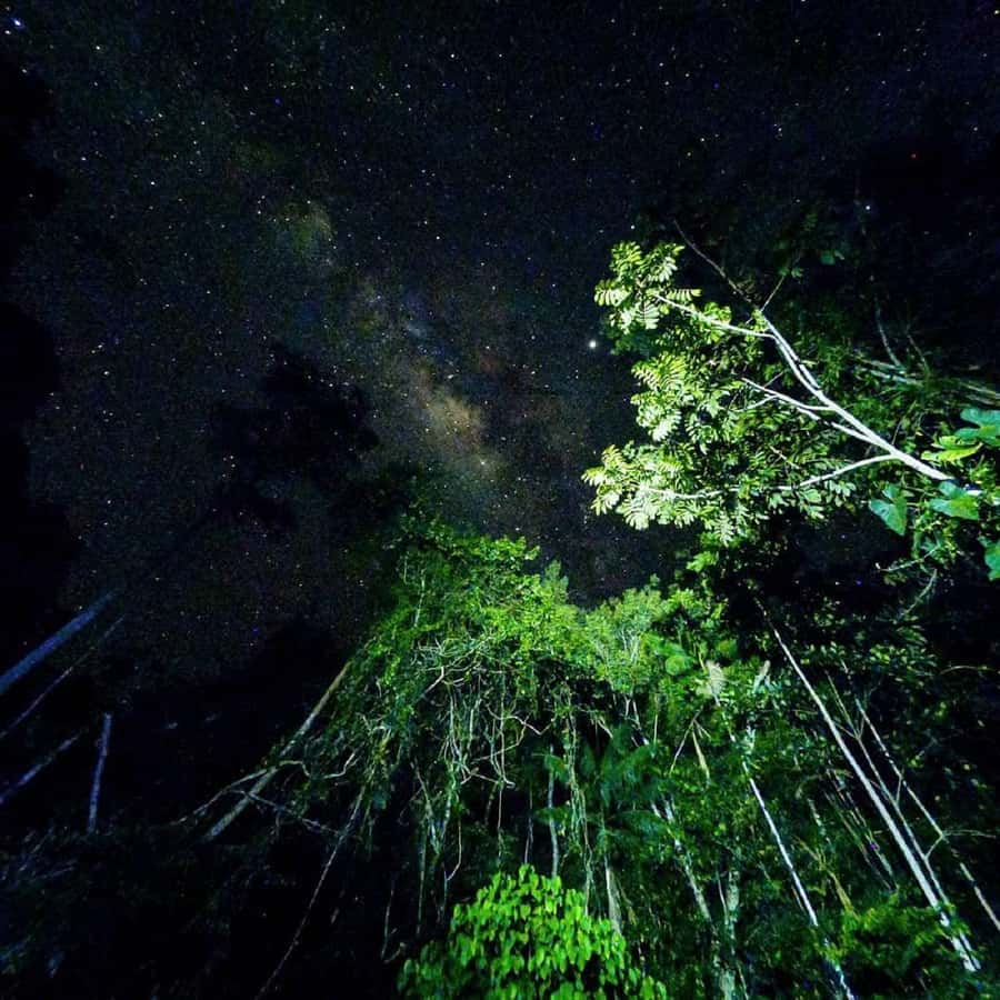 Tambopata Rainforest Night Walk & River Exploration - What to wear and carry