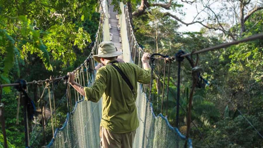 Tambopata: Zipline Adventure & Kayak to Monkey Island - Key points to know