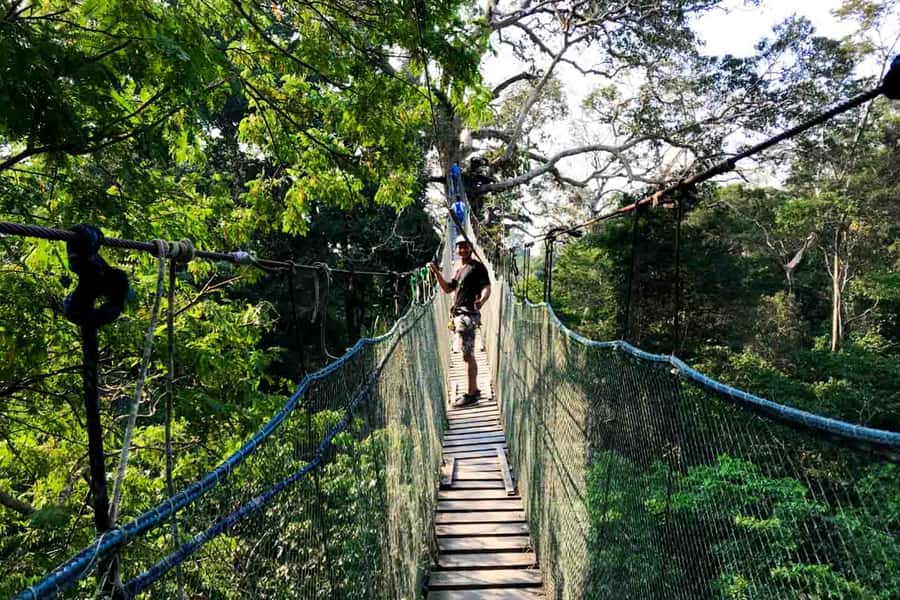 Tambopata: Zipline Adventure & Kayak to Monkey Island - Who will enjoy this day