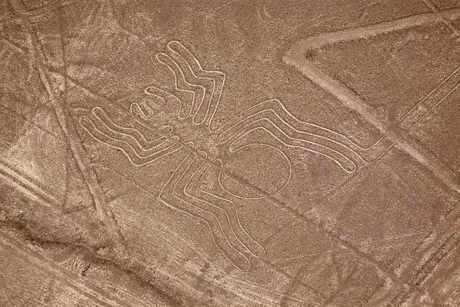 The Nazca Lines & Huacachina Oasis from Lima - Private Trip - Huacachina brings the fun back