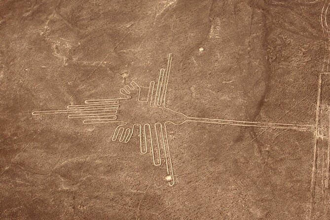 The Nazca Lines & Huacachina Oasis from Lima - Private Trip - Why the private setup is useful