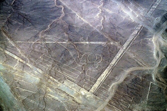 The Nazca Lines & Huacachina Oasis from Lima - Private Trip - Is $485 a fair price?