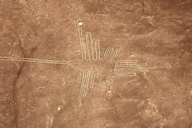 The Nazca Lines & Huacachina Oasis from Lima - Private Trip - Who should book this day trip?