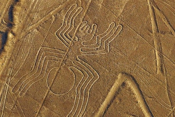 The Nazca Lines & Huacachina Oasis from Lima - Private Trip - Practical advice for a smoother day