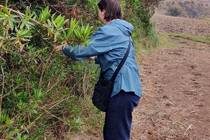 The Textile Workshop Experience in Cusco Region - Who should book this Cusco experience?