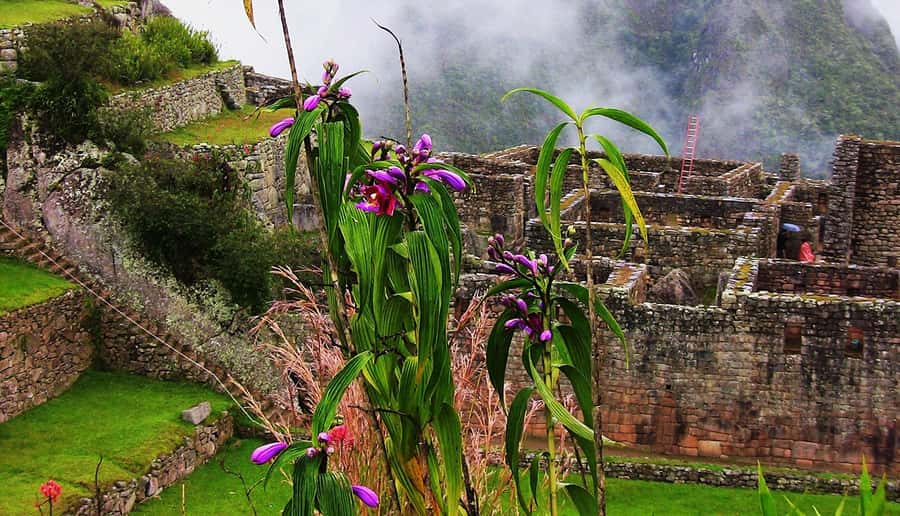 Tour Machu Picchu + Mountain of Huayna Picchu 2 days - The early trip from Cusco to Ollantaytambo