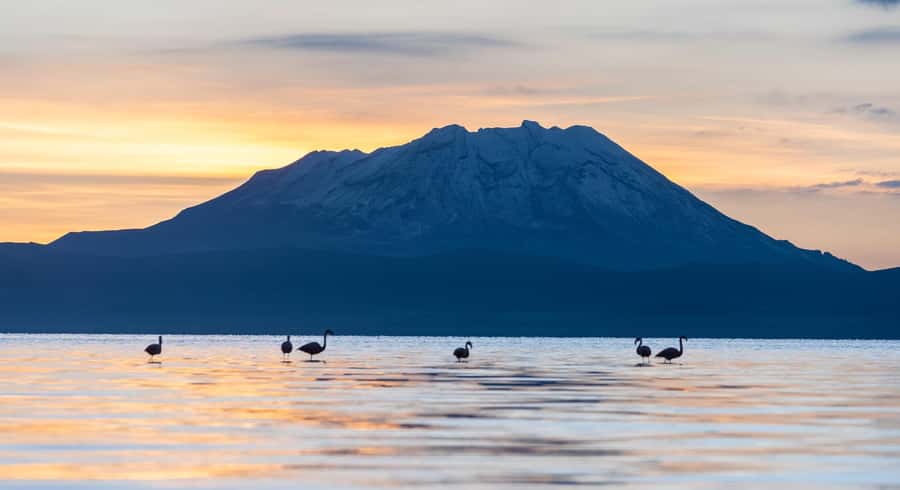 Tour to the Salinas Lagoon and National Reserve in Arequipa - Salinas Lagoon and its changing reflections