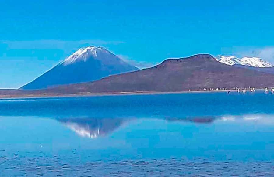 Tour to the Salinas Lagoon and National Reserve in Arequipa - Chiguata brings the volcanoes into view
