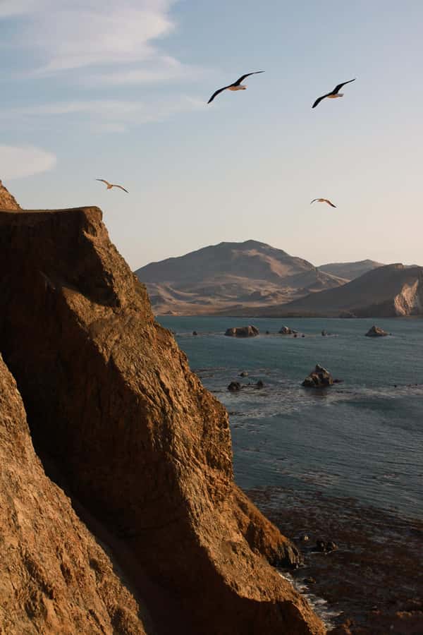 TREKKING GOLDEN SHADOWS - Otuma, Playón, and Playa Mendieta