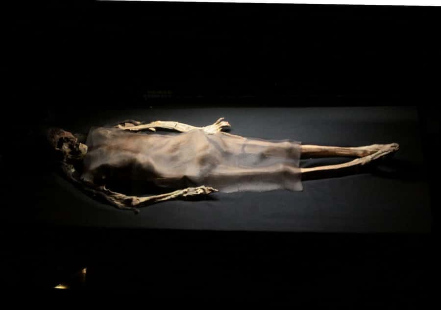 Trujillo: El Brujo Complex Archaeological Tour with Tickets - Who will enjoy this tour most?