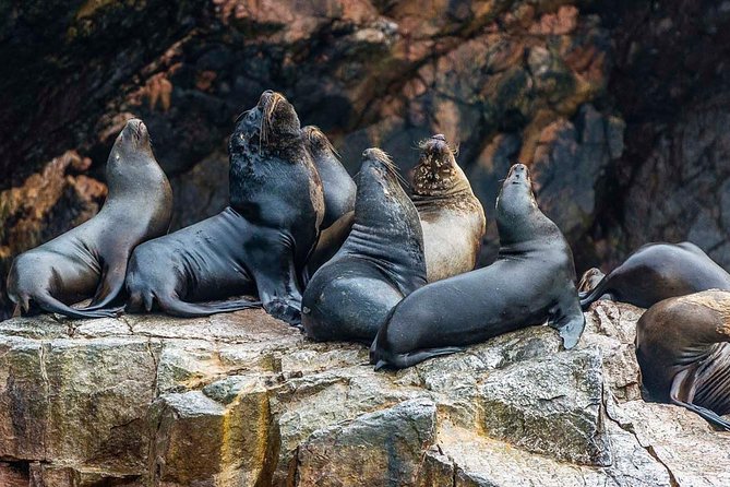 Ultimate Comfort: Lima to Huacachina, Ballestas and Vineyard - Why this Lima day trip covers so much ground