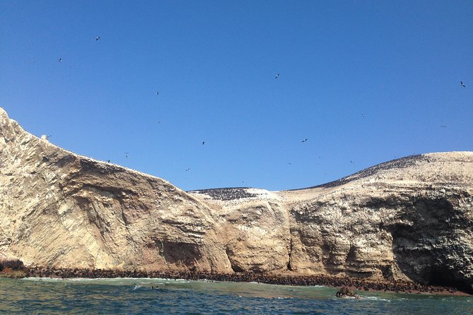 Ultimate Comfort: Lima to Huacachina, Ballestas and Vineyard - The dune buggy and sandboarding hour