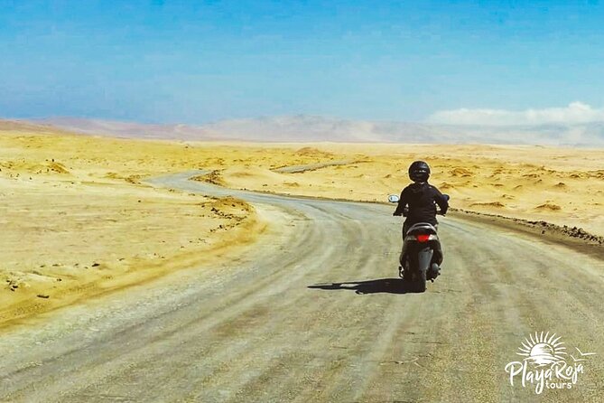 Visit the Paracas National Reserve on a SCOOTER - The lagoon and the freedom to set your own schedule