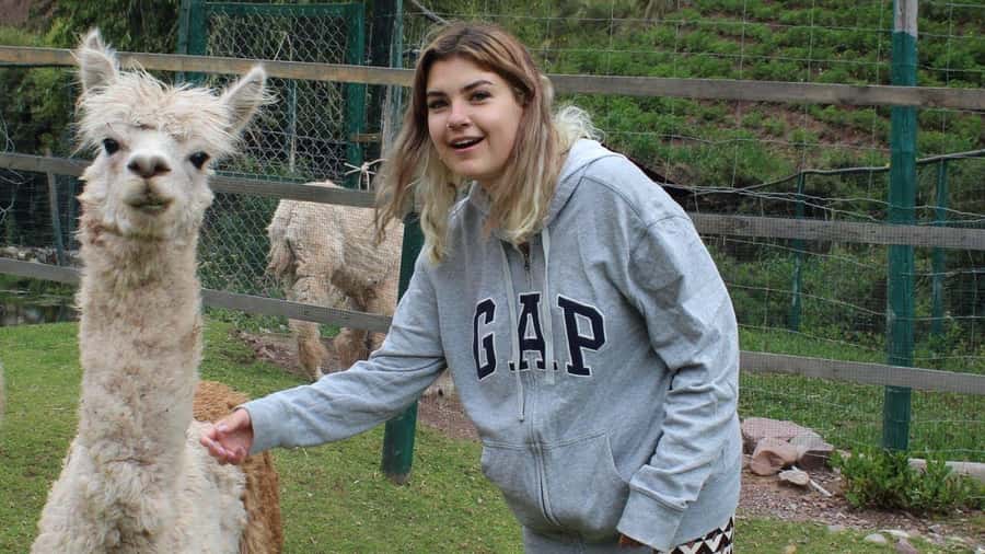 Visit to the Cochahuasi Animal Sanctuary with rescued animal - Who should book this visit?