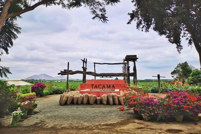 Winery and Pisco Distillery tour - What the guides add to the day